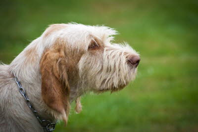 20120930155449_FS-SPIEL-025