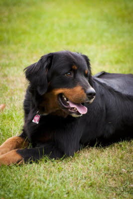 20120930155450_FS-SPIEL-026