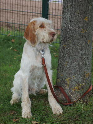 20121013121725_FSS_015