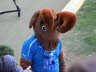 20140310195022_Buli_03_2014_088