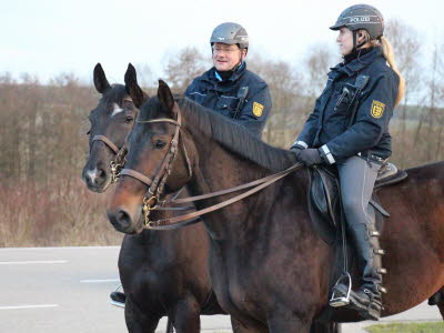 20140310200110_Buli_03_2014_230