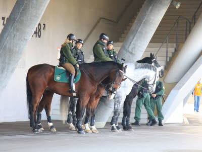 20141027184002_Allianz_2014_131