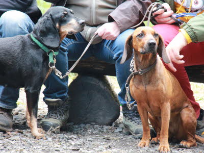 20151010141505_Zeltlager_2015_031